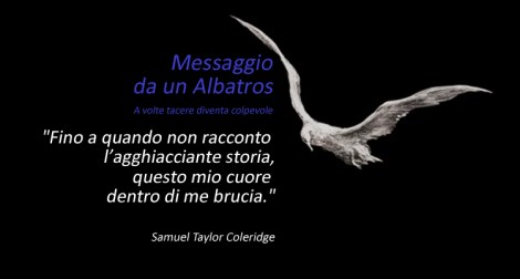 MIDWAY_ChrisJordan_Gyre