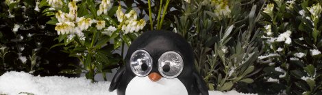 Pinguino Pong a energia solare