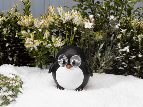 Pinguino Pong a energia solare