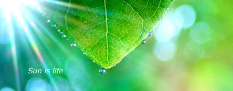 Benefici Rinnovabili